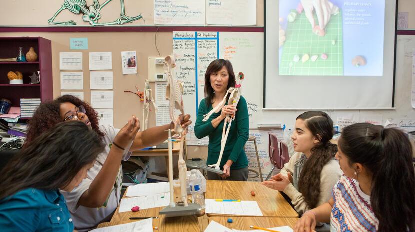 A high school physiology teacher shows students how to create a clay model of the endocrine system.
